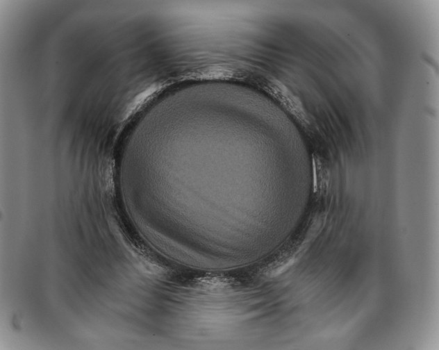 X0000096660300200803041206