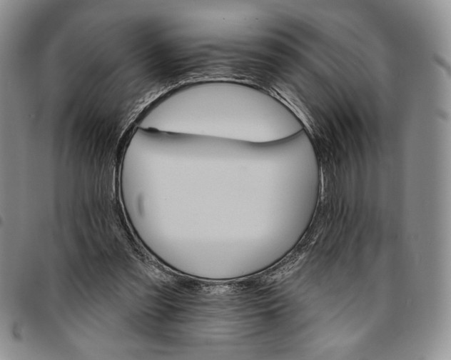 X0000096660301200803041206