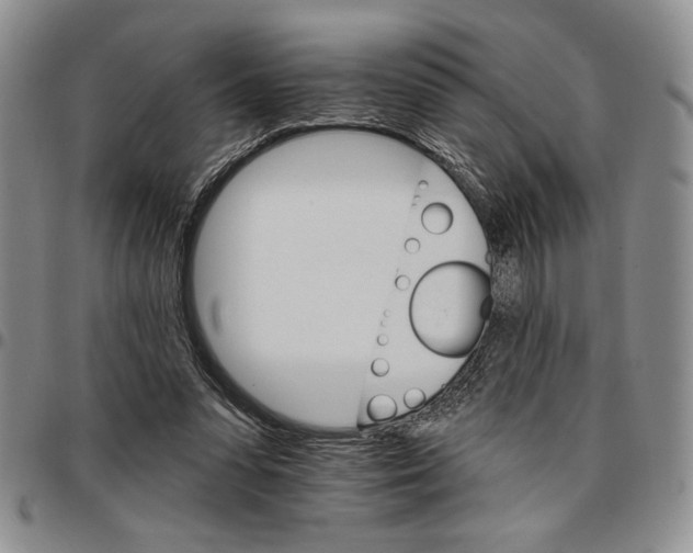 X0000096660303200803041206