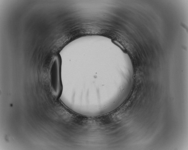 X0000096660305200803041206