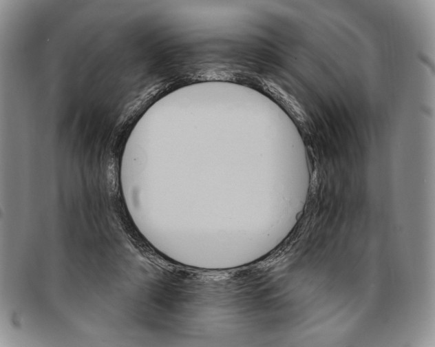 X0000096660306200803041206