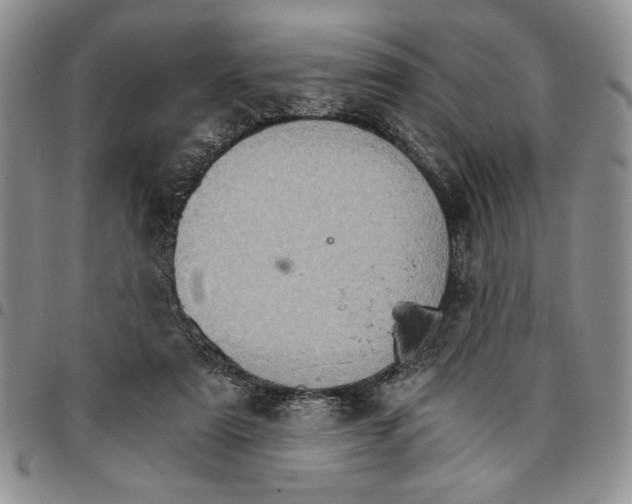 X0000096660307200803041206