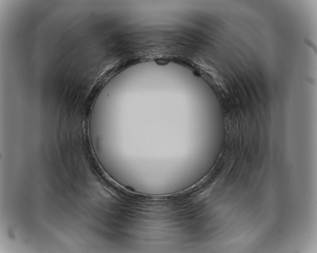 X0000096660308200803041206