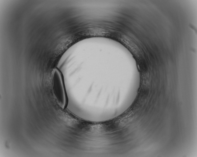 X0000096660309200803041206