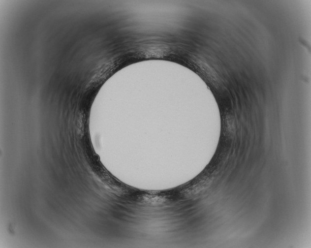 X0000096660311200803041206