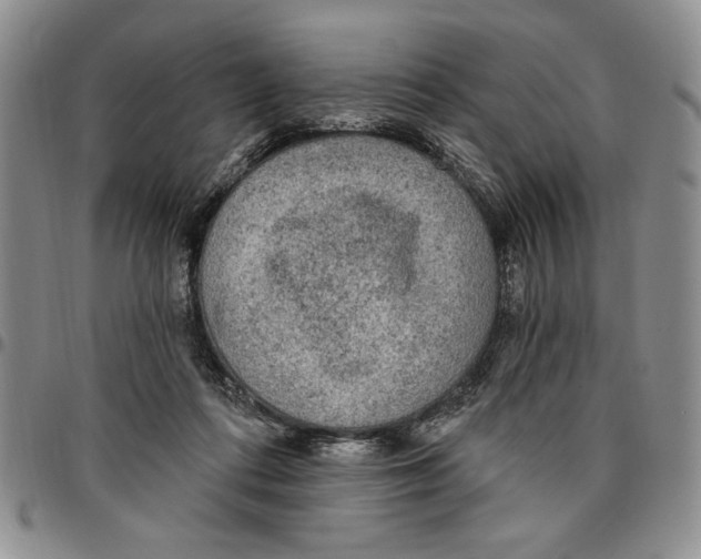 X0000096660312200803041206