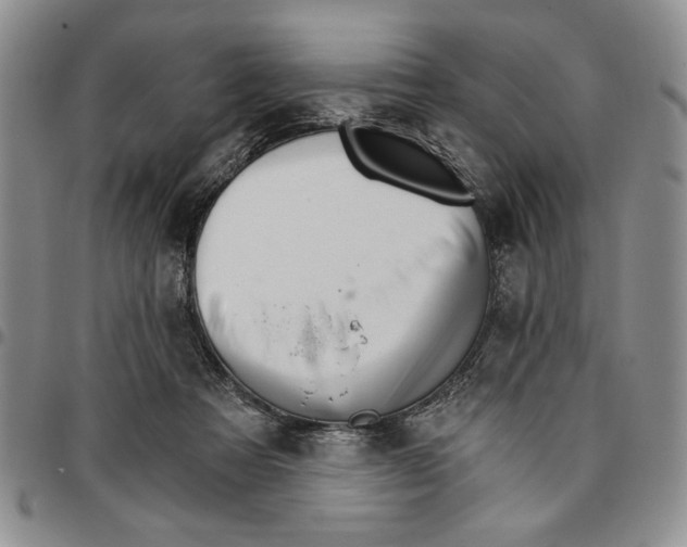 X0000096660313200803041206