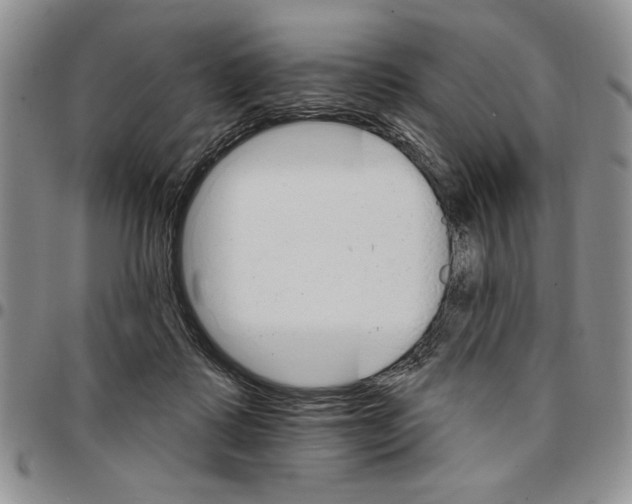 X0000096660315200803041206