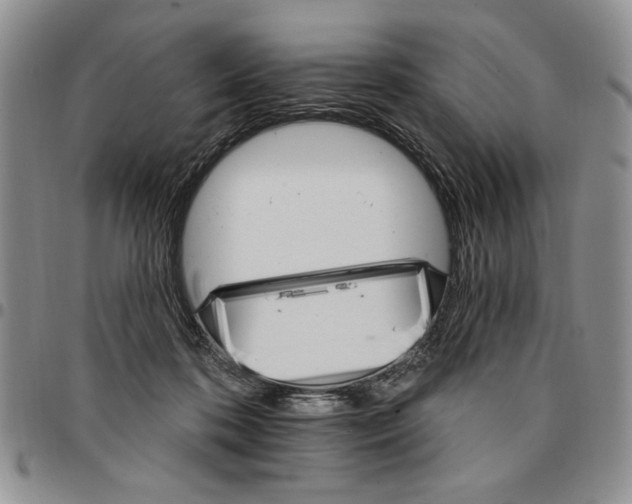 X0000096660316200803041206