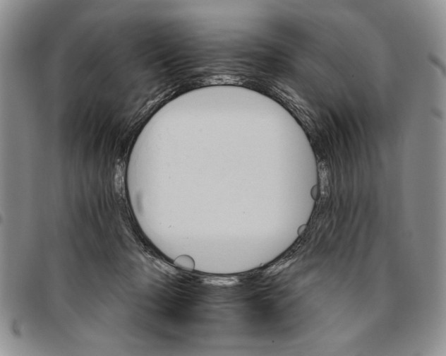 X0000096660318200803041206