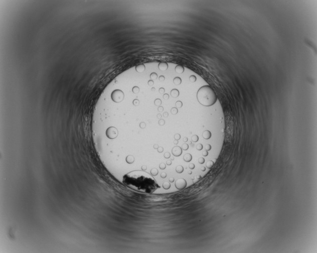 X0000096660319200803041206