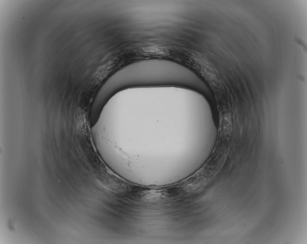 X0000096660320200803041206