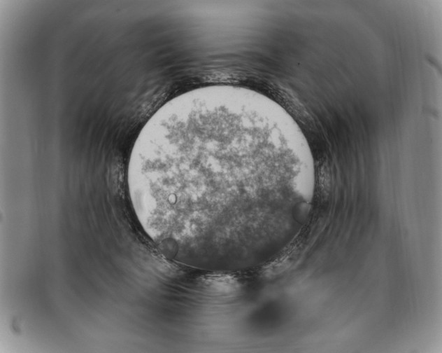 X0000096660322200803041206