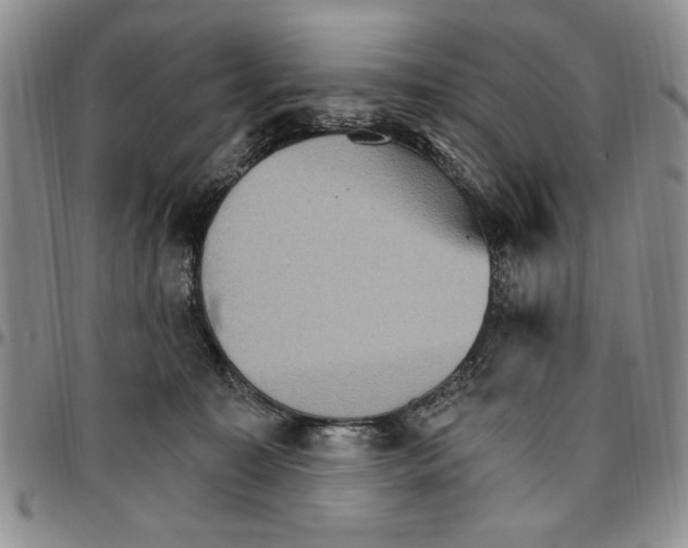 X0000096660323200803041206