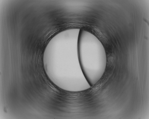 X0000096660325200803041206