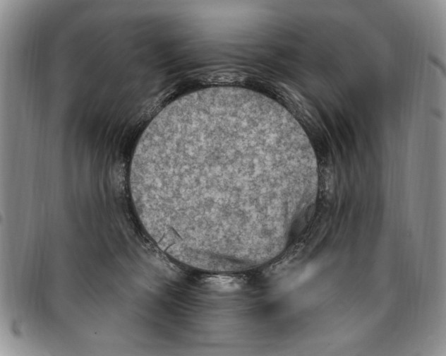 X0000096660326200803041206