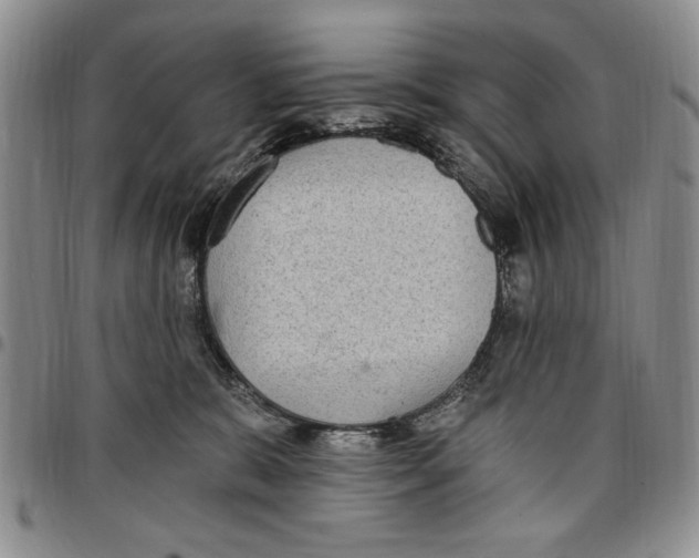 X0000096660327200803041206