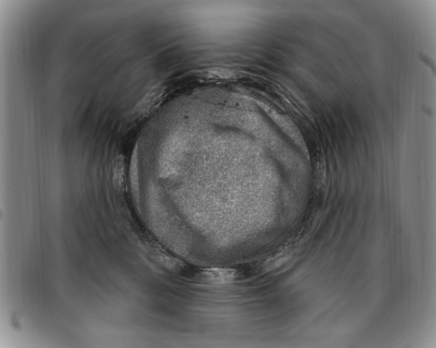 X0000096660328200803041206