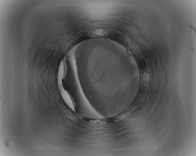 X0000096660331200803041206