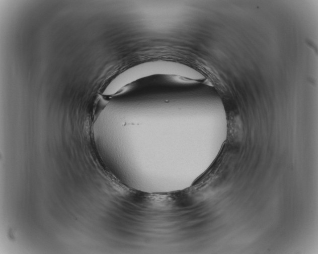 X0000096660333200803041206