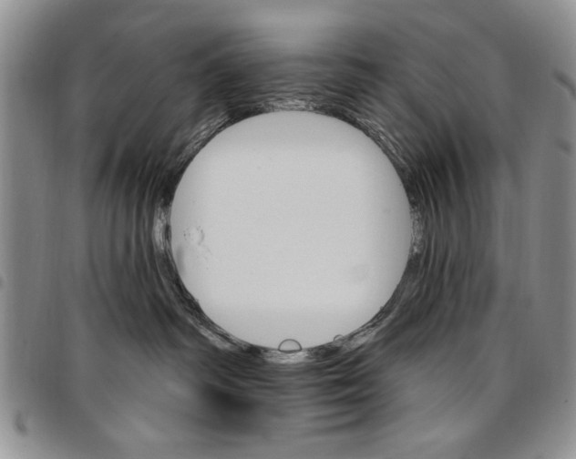 X0000096660334200803041206