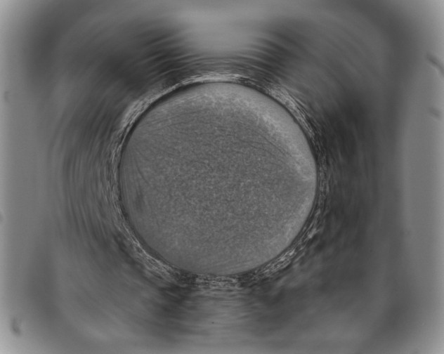 X0000096660337200803041205