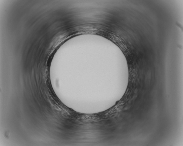 X0000096660338200803041205