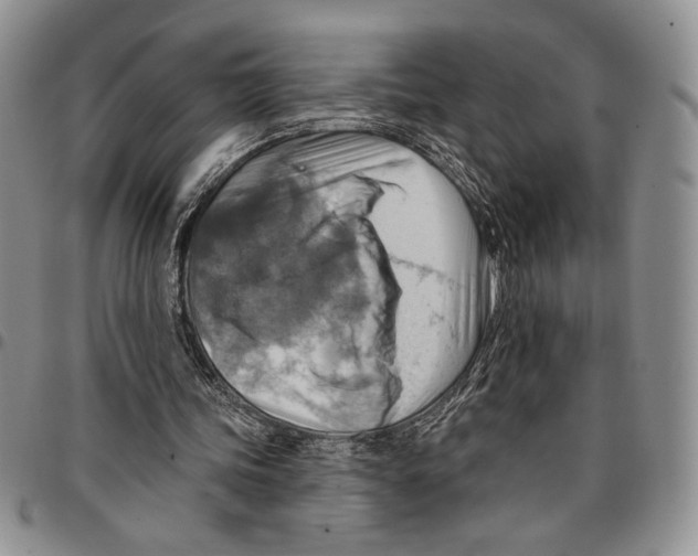 X0000096660339200803041205