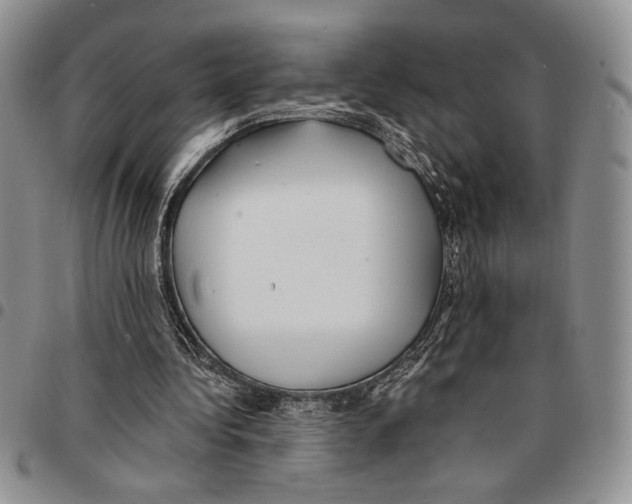 X0000096660340200803041205