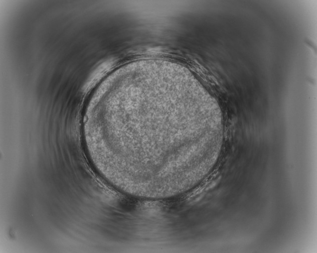 X0000096660341200803041205