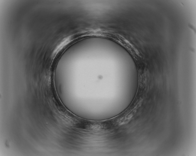 X0000096660344200803041205