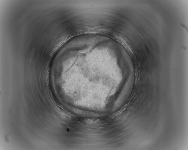 X0000096660346200803041205