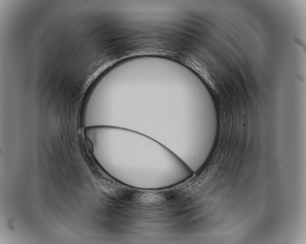 X0000096660348200803041205