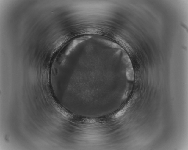 X0000096660349200803041205