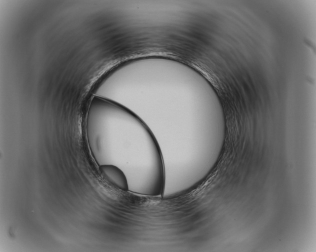 X0000096660350200803041205