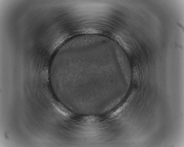 X0000096660351200803041205