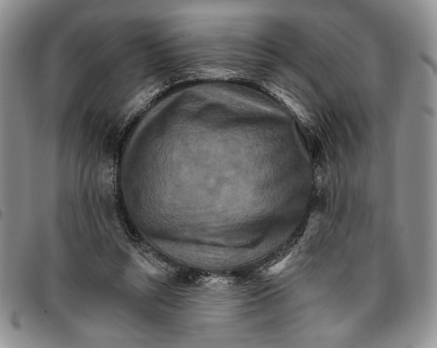 X0000096660352200803041205