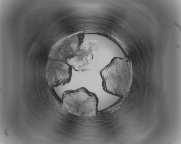 X0000096660353200803041205