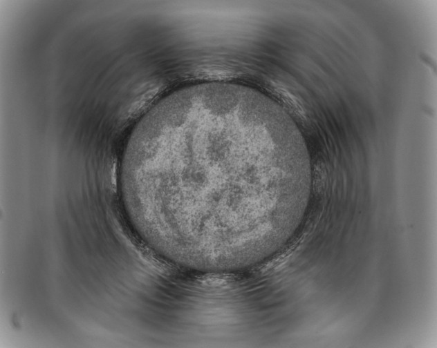 X0000096660358200803041205