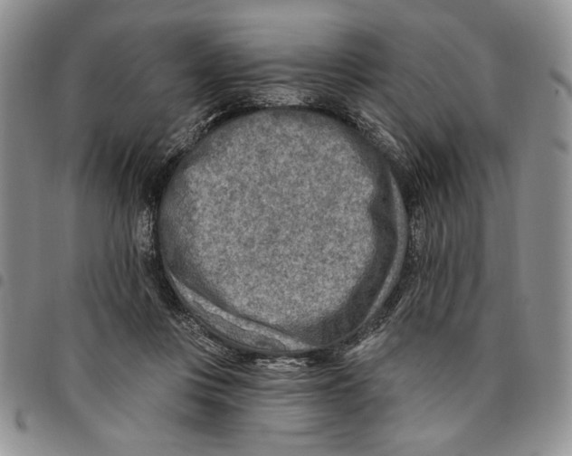 X0000096660359200803041205