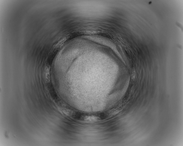 X0000096660360200803041205