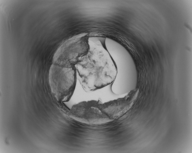 X0000096660361200803041205