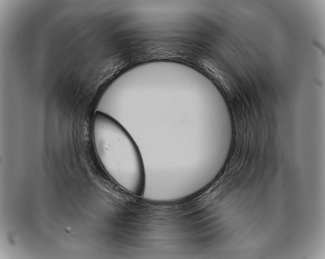 X0000096660362200803041205