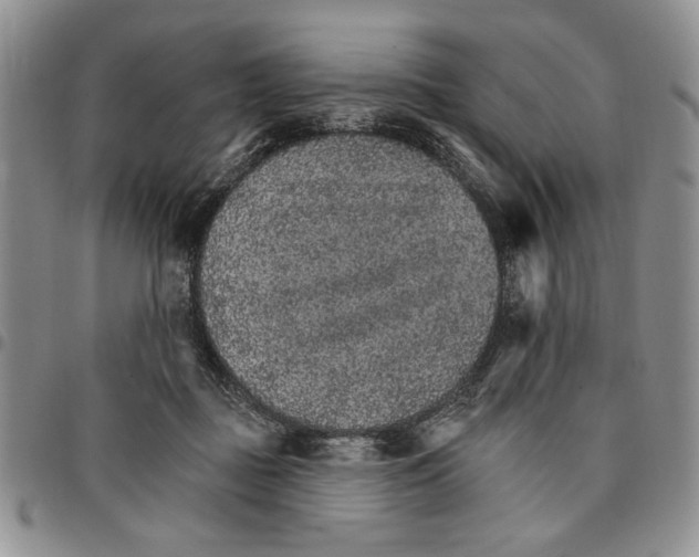 X0000096660363200803041205