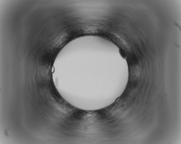 X0000096660364200803041205