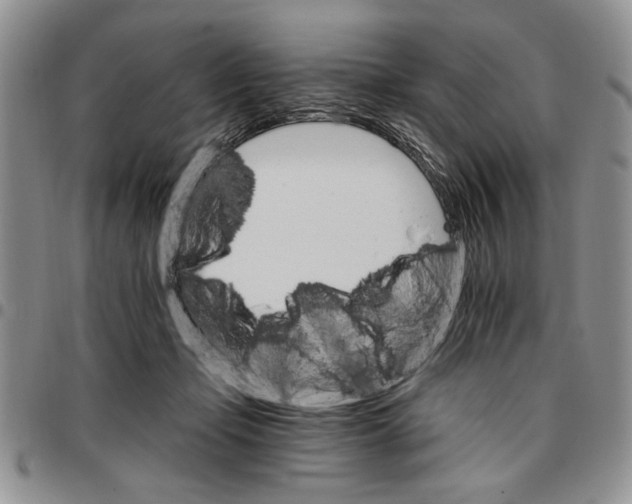 X0000096660365200803041205