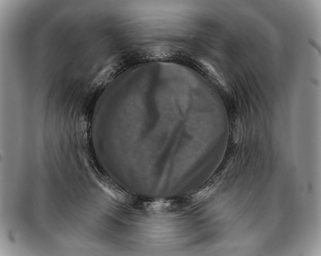 X0000096660366200803041205