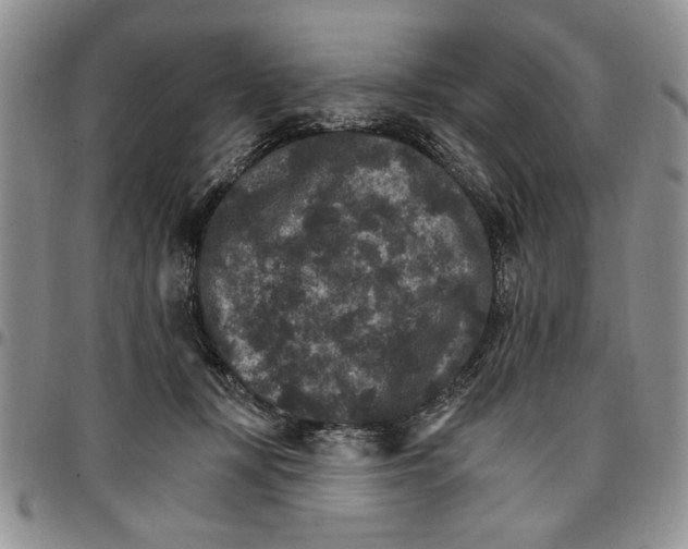 X0000096660367200803041205