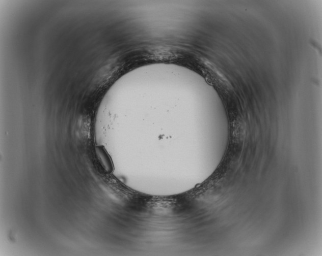 X0000096660368200803041205