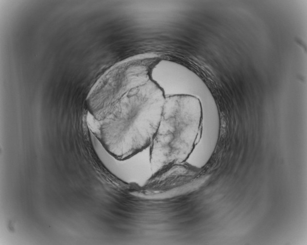 X0000096660369200803041205